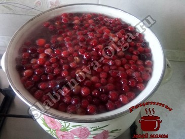 Компот из клюквы, варим