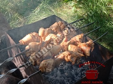 Куриный шашлык в маринаде с соевым соусом и растительным маслом, готовим на мангале Куриный шашлык в маринаде с соевым соусом и растительным маслом, готовим на мангале