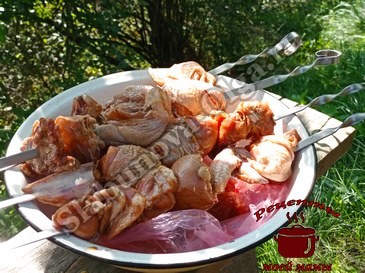 Куриный шашлык в маринаде с соевым соусом и растительным маслом на шампура Куриный шашлык в маринаде с соевым соусом и растительным маслом на шампура